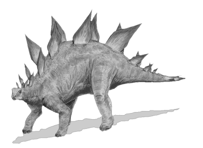A majestic Stegosaurus